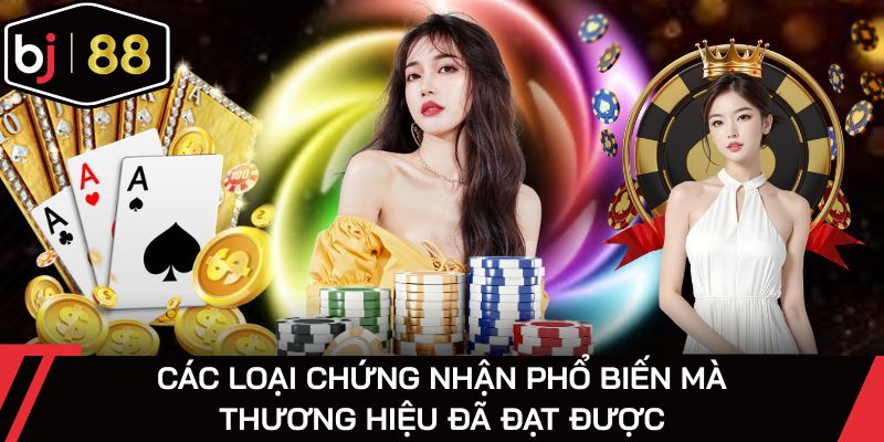Các loại chứng nhận phổ biến mà thương hiệu đã đạt được