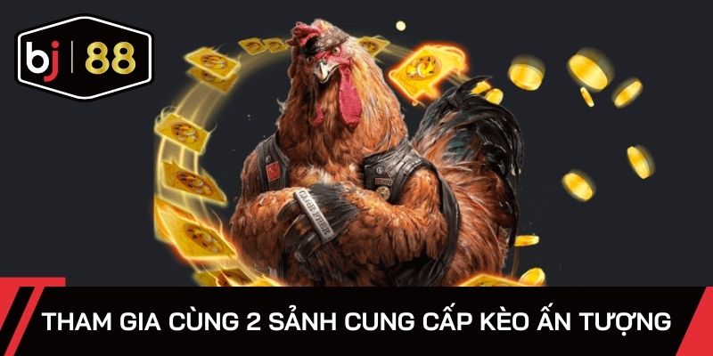 Tham gia cùng 2 sảnh cung cấp kèo ấn tượng