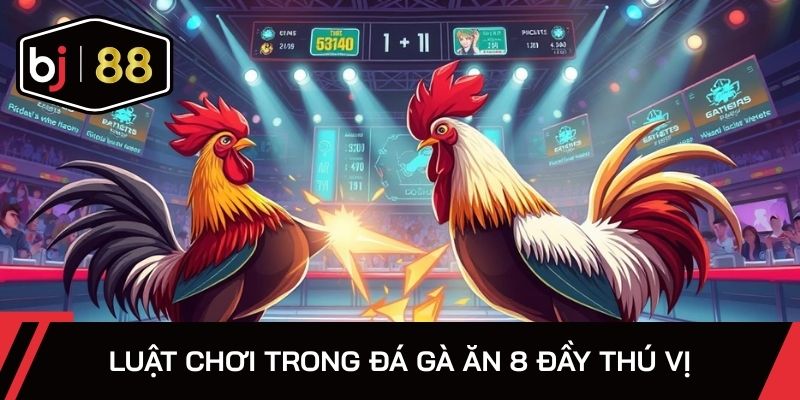 Trọng tài kiểm tra kỹ trước khi bắt đầu trận đấu